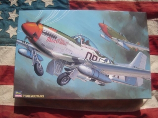 Has.08055  P-51D MUSTANG